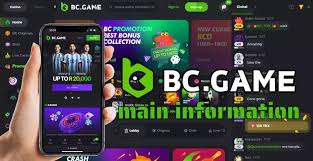 Exploring BC.Game Mirror Sites Your Gateway to Online Gaming