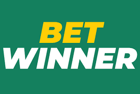 Exploring BetWinner Africa A Comprehensive Guide to Online Betting