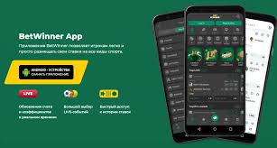 Exploring BetWinner Africa A Comprehensive Guide to Online Betting