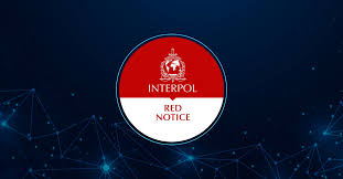 Understanding the Role of Interpol Defense Lawyers 1346063910 Understanding the Role of Interpol Defense Lawyers 1346063910