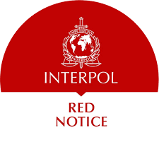 Understanding the Role of Interpol Defense Lawyers 1346063910 Understanding the Role of Interpol Defense Lawyers 1346063910