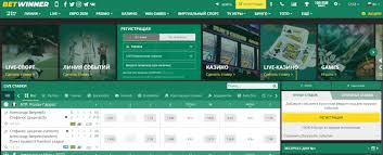BetWinner Review Uncovering the Best Online Betting Experience