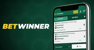 Understanding BetWinner Terms and Conditions A Comprehensive Guide
